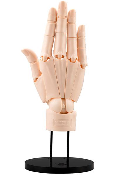 [Pre-order] ARTIST SUPPORT ITEM Kagami Takahiro hand model/R -PALE ORANGE- action model "December 24 reservation"