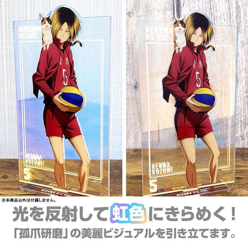 [預訂] 排球少年！！ 孤爪研磨 極光立牌(大) 挑戰與成長Ver.《25年10月預約》