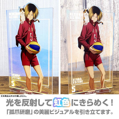 [預訂] 排球少年！！ 孤爪研磨 極光立牌(大) 挑戰與成長Ver.《25年10月預約》