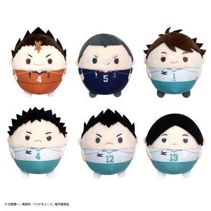 [Pre-order] Volleyball boy! ! Plush dolls 4 and 6 pieces in BOX (resale) "March 25 reservation"