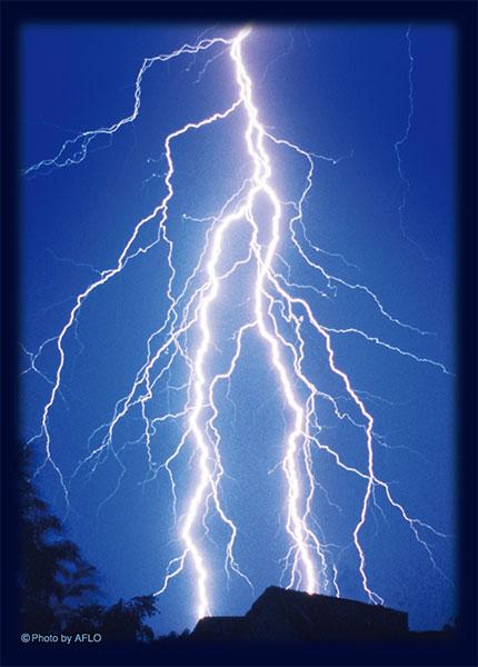 [預訂] Broccoli卡片套 SHUFFLE MASTER「雷神的一擊」  Pack《25年5月預約》