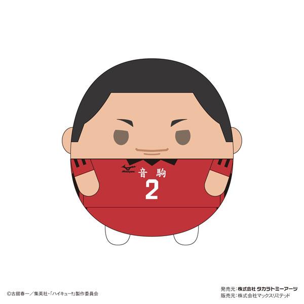 [Pre-order] Volleyball boy! ! Plush doll Msize8 E: Hisense "Reservation for April 24"