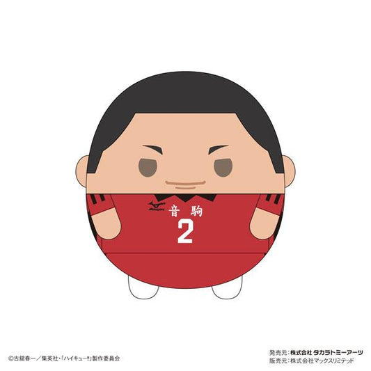 [Pre-order] Volleyball boy! ! Plush doll Msize8 E: Hisense "Reservation for April 24"