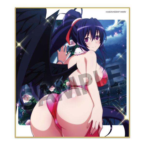 [預訂] 惡魔高校DxD HERO 迷你色紙 vol.3 10個入Box《24年3月預約》