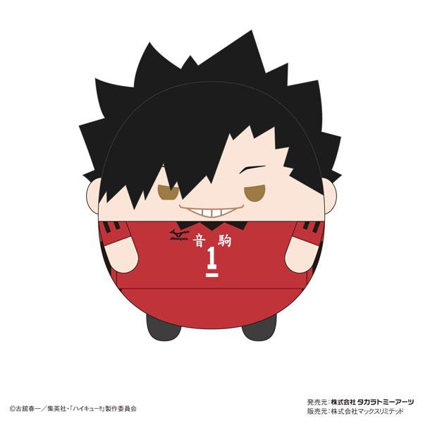 [Pre-order] Volleyball boy! ! Plush doll Msize8 B: Tetsuro Kuroo "Reservation for April 24"