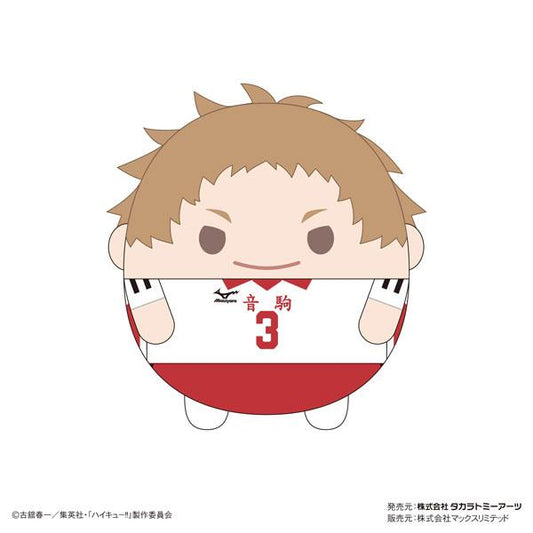 [Pre-order] Volleyball boy! ! Plush doll Msize8 C: Yaku Weisuke "Reservation for April 24"